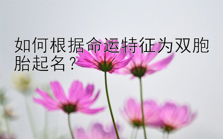 如何根据命运特征为双胞胎起名？