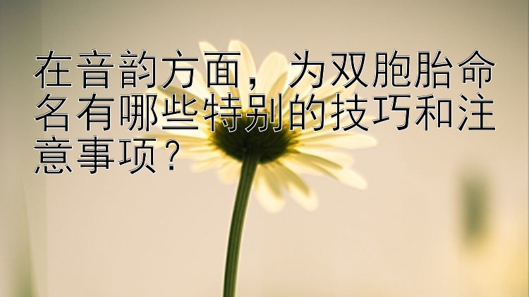 在音韵方面，为双胞胎命名有哪些特别的技巧和注意事项？