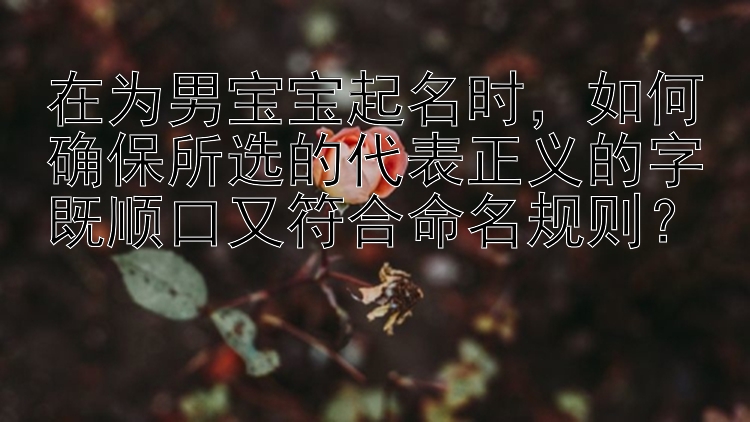 在为男宝宝起名时，如何确保所选的代表正义的字既顺口又符合命名规则？