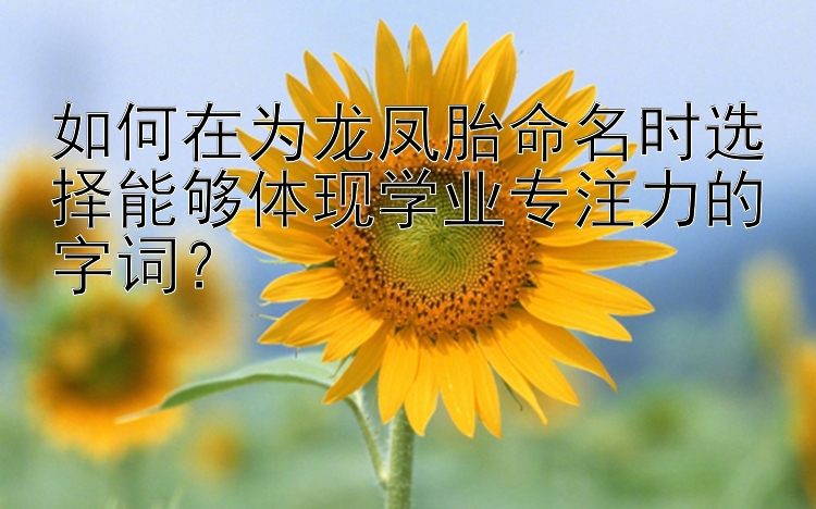 如何在为龙凤胎命名时选择能够体现学业专注力的字词？