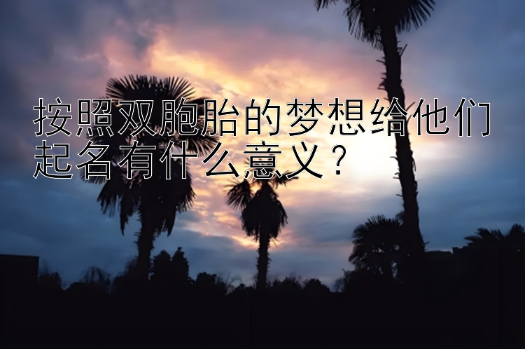 按照双胞胎的梦想给他们起名有什么意义？