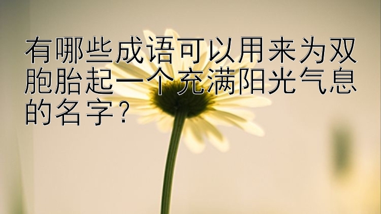 有哪些成语可以用来为双胞胎起一个充满阳光气息的名字？