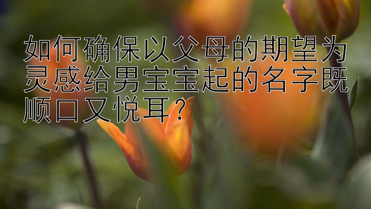 如何确保以父母的期望为灵感给男宝宝起的名字既顺口又悦耳？