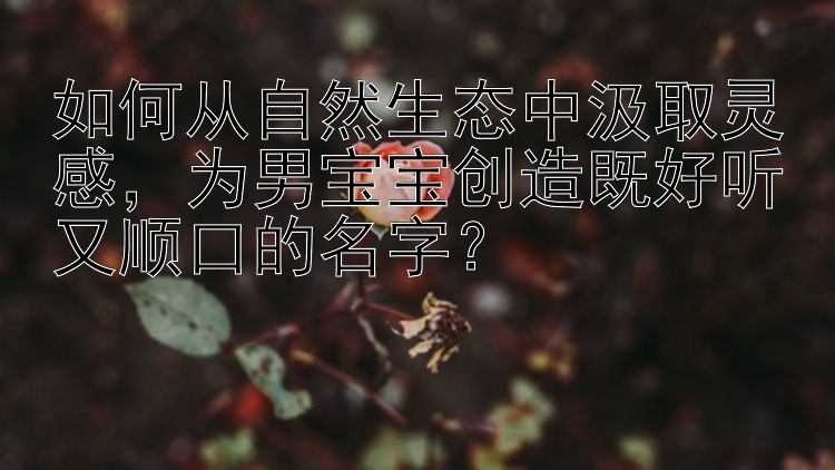 如何从自然生态中汲取灵感，为男宝宝创造既好听又顺口的名字？