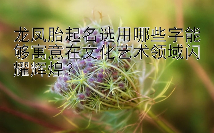 龙凤胎起名选用哪些字能够寓意在文化艺术领域闪耀辉煌？